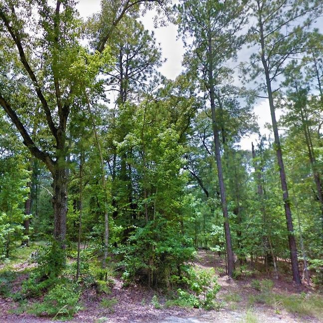 Land for Sale in Jasper County 0.2 Acre Wooded Homesite with Utilities near Lake Sam Rayburn TX