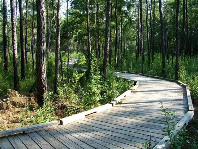 Land for Sale in Texas Land for Sale Build your Future Lakehouse on this 7780 Sqft Property 4