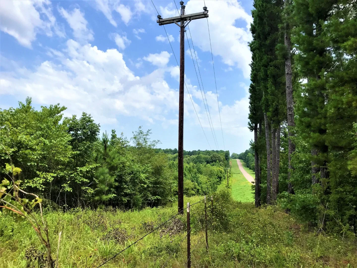 Texas Wooded Off-Grid 3 Acres UNRESTRICTED Land with County Road and Electric