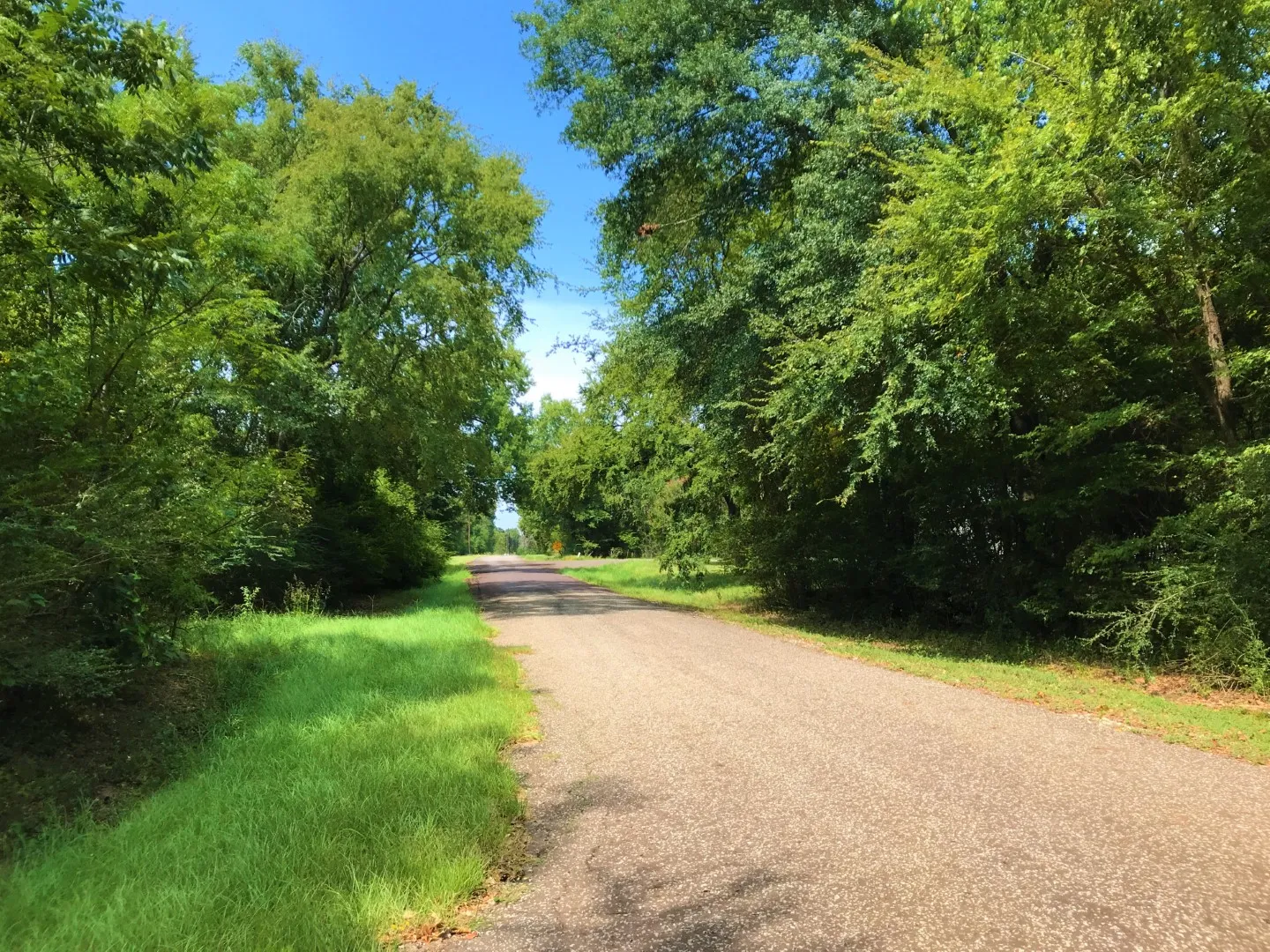 0.77 Acre UNRESTRICTED RV/Mobile Land with Electric