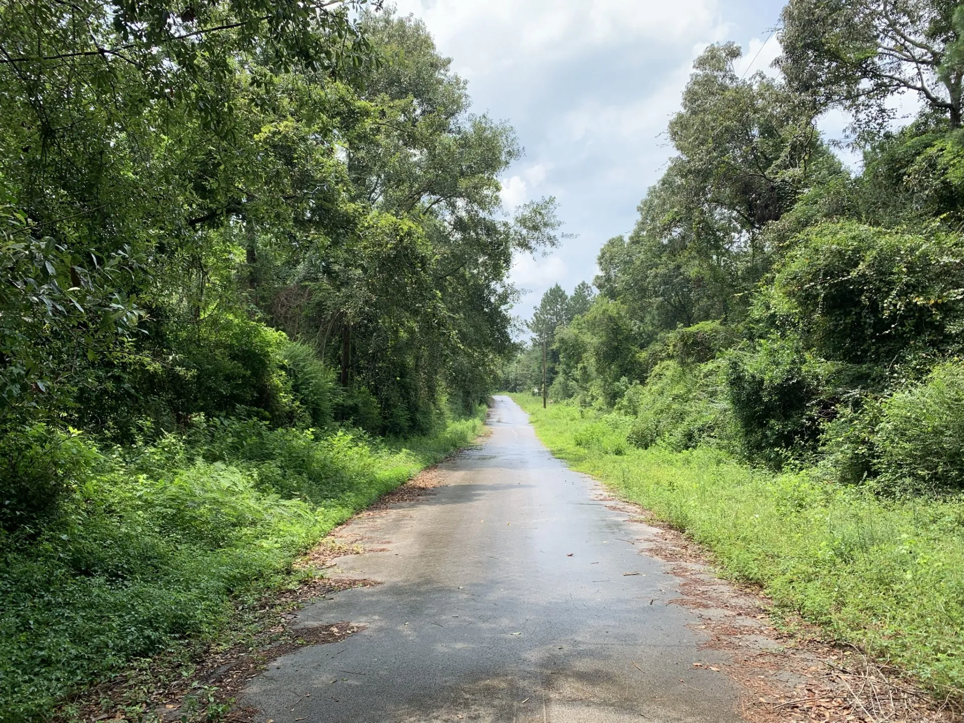 0.35 Acre Wooded RV/Mobile Land with Utilities near Lake Sam Rayburn