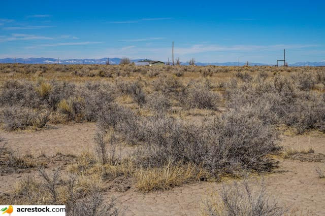 Land for Sale in Alamosa County 80 Acres With Electricity Just Outside National Park 16