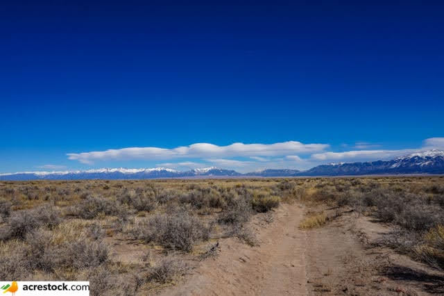 Land for Sale in Alamosa County 80 Acres With Electricity Just Outside National Park 20