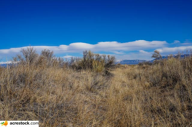 Land for Sale in Alamosa County 80 Acres With Electricity Just Outside National Park 7