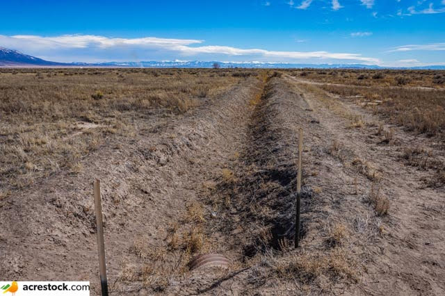 Land for Sale in Alamosa County 80 Acres With Electricity Just Outside National Park 79