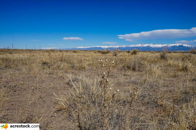 Land for Sale in Alamosa County 80 Acres With Electricity Just Outside National Park 8