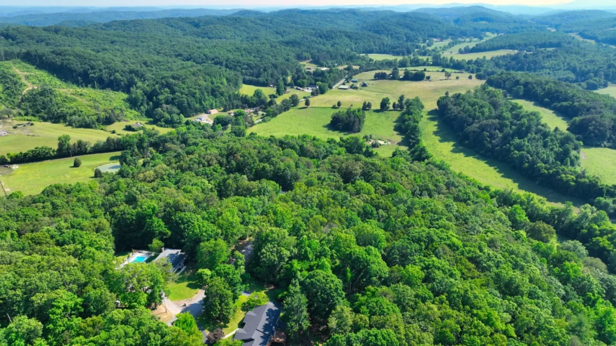Aerial view of a forested valley with roads and homes
