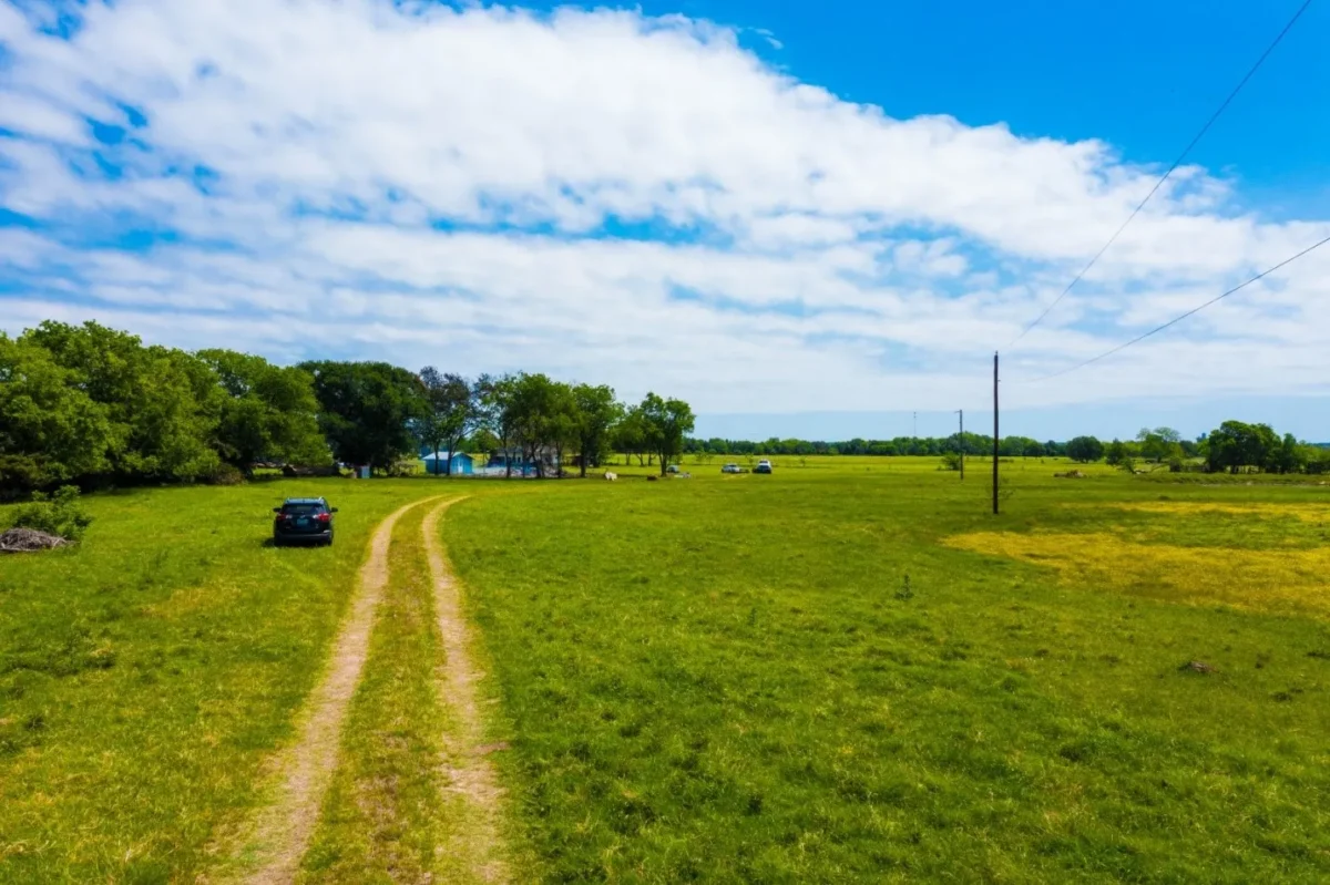 Grassy rural lot with dirt tracks and utility poles