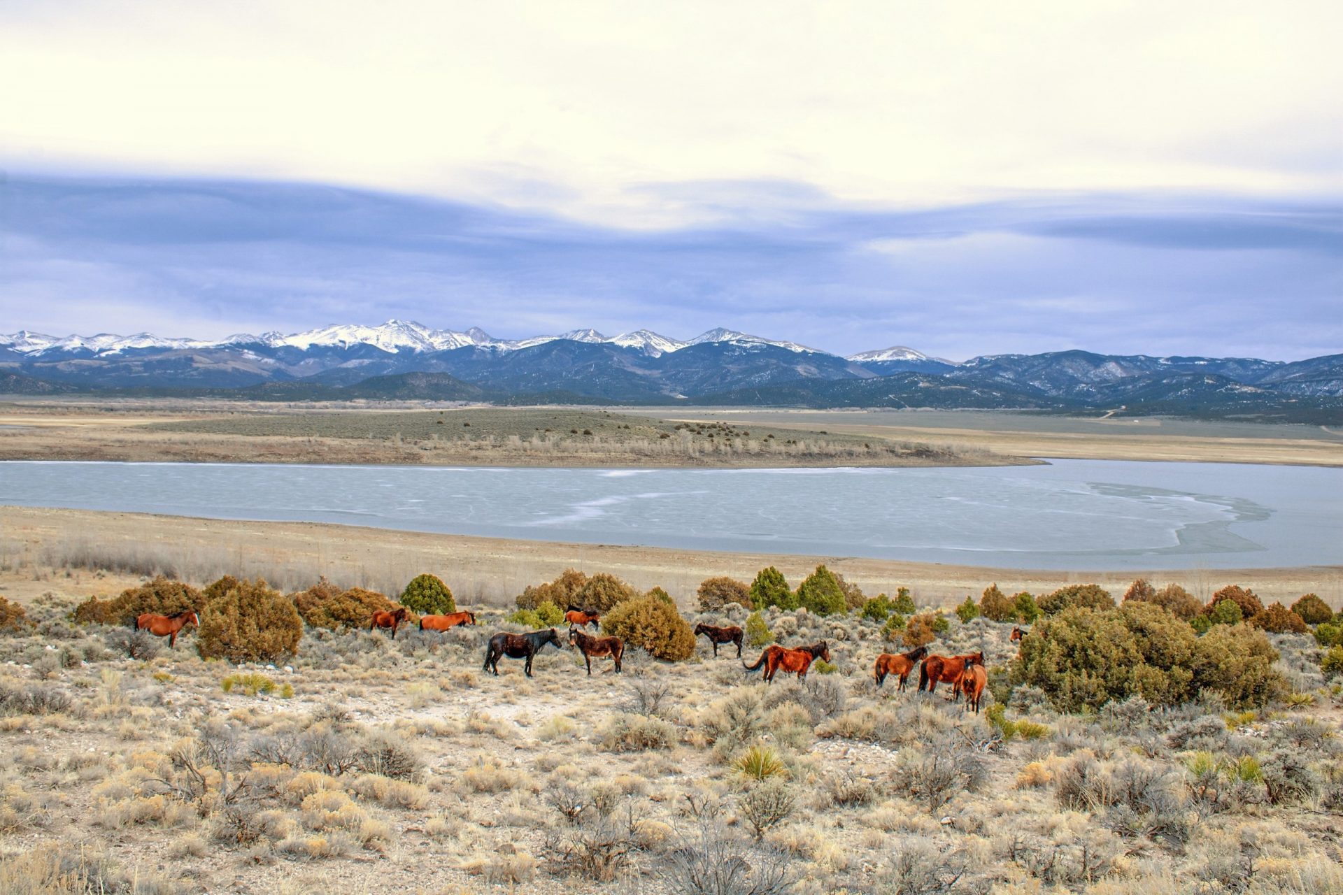 Land for Sale in Colorado 2.03 Acres Lakefront, Mountainview, Wild Horses in Southern CO