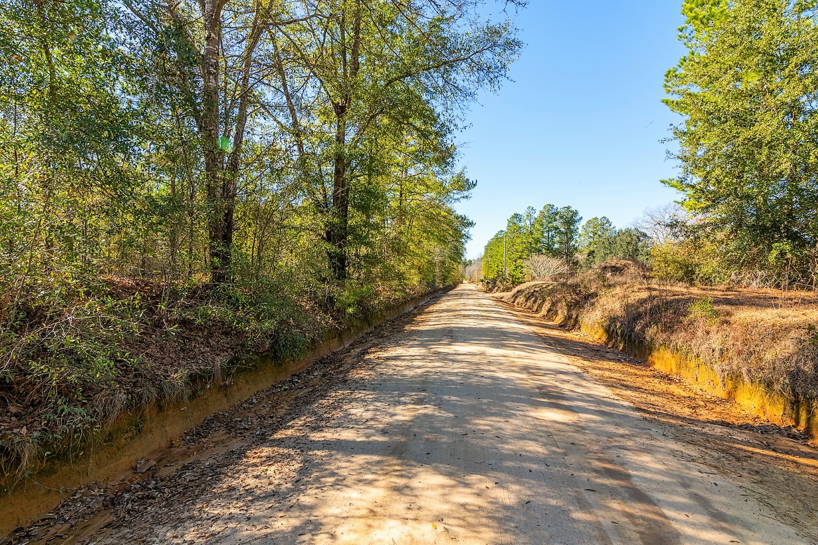 south-carolina-land-for-sale-elegment-land