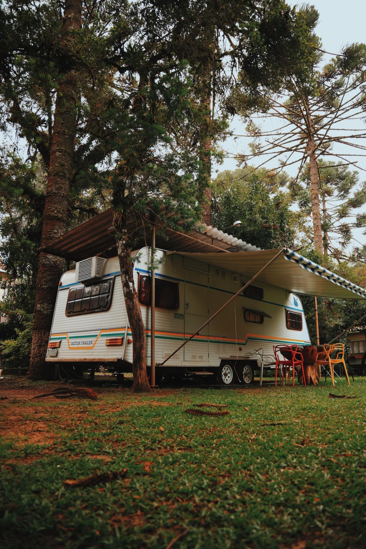 Travel trailer parked beneath tall trees