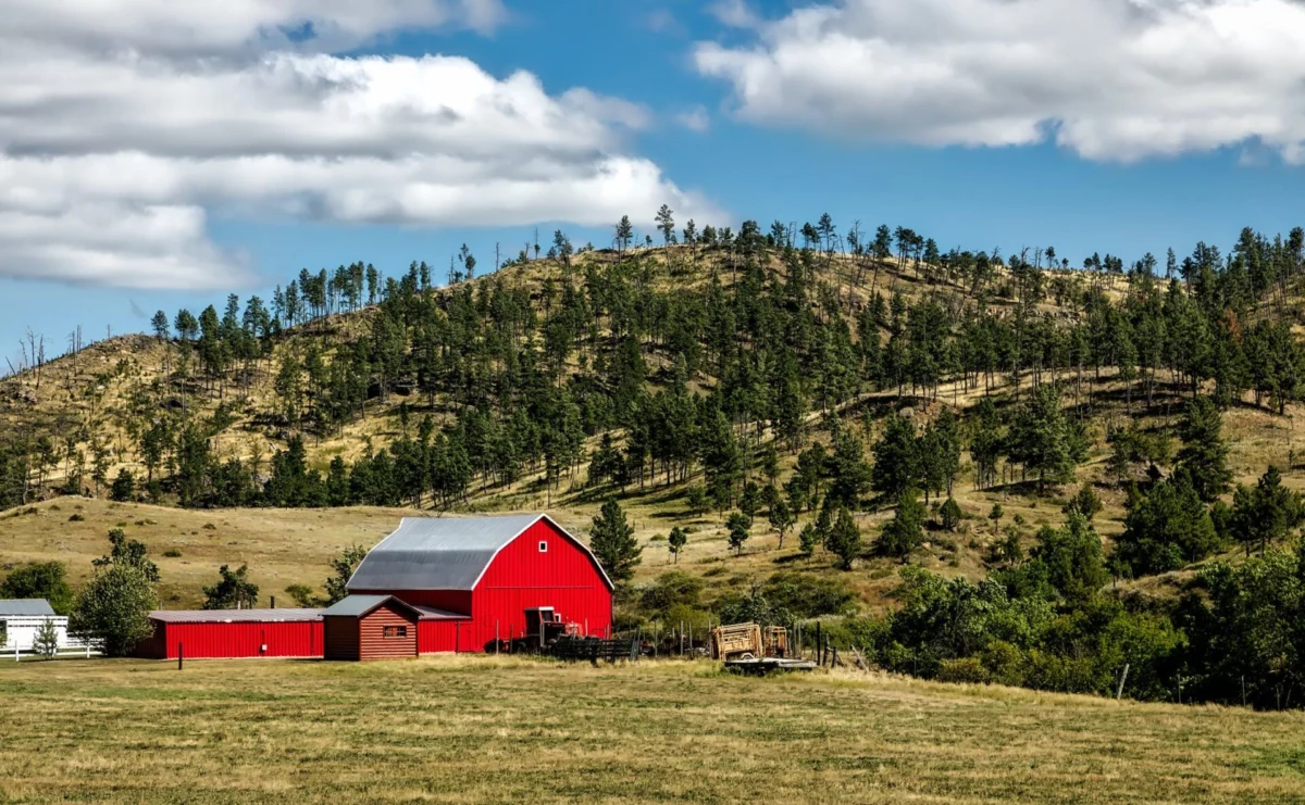 Red barn in a grassy valley below rocky pine-covered hills