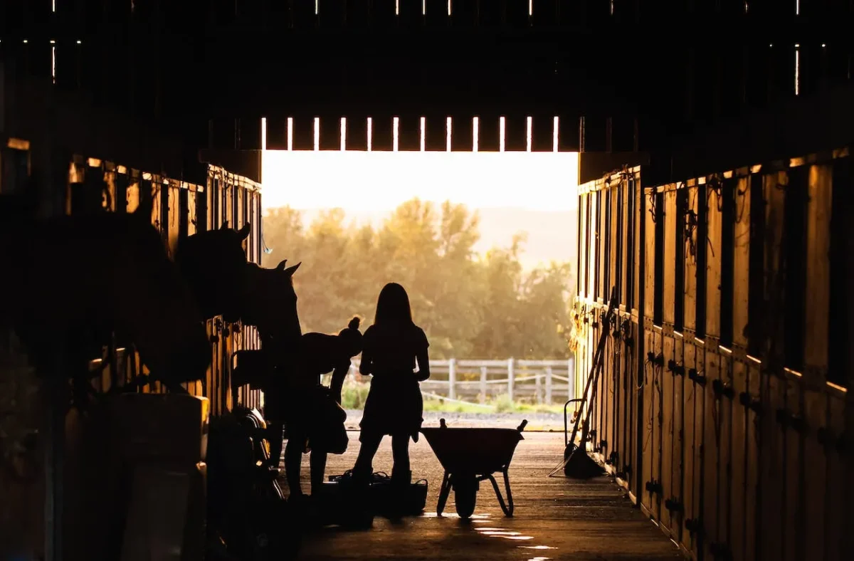Silhouette of a person tending a horse beside a wheelbarrow in a barn aisle