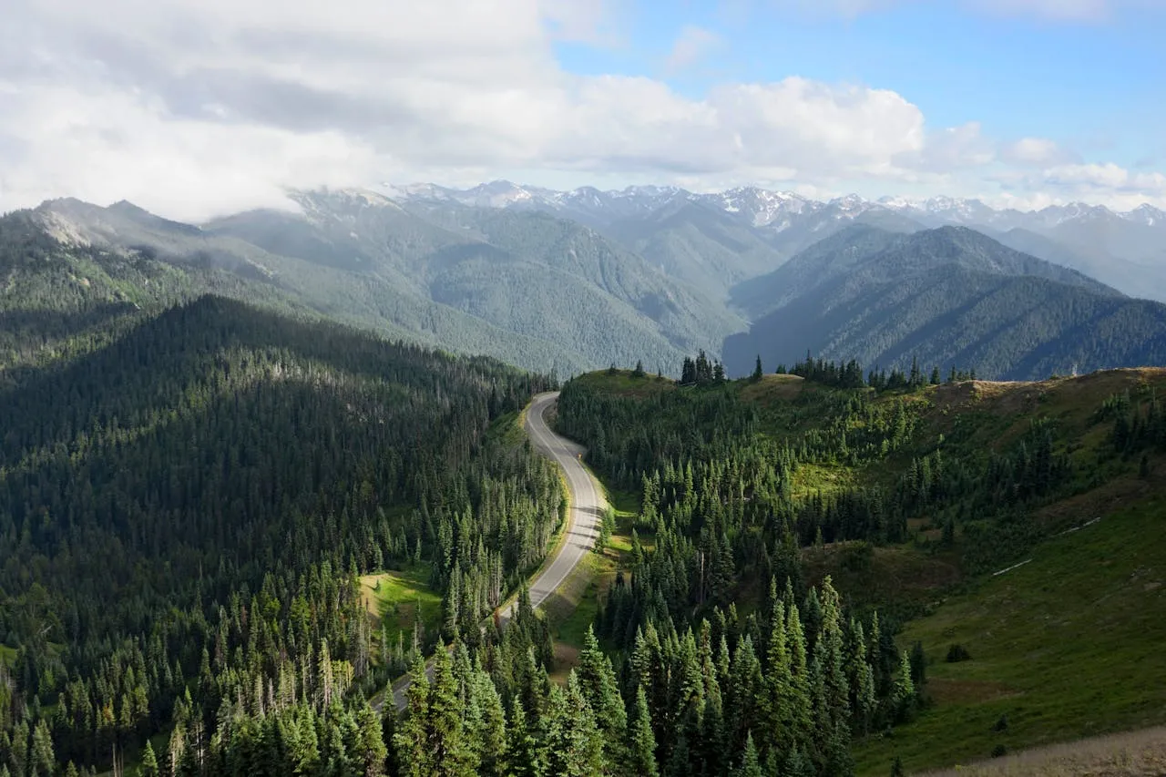 Washington state land for sale trees