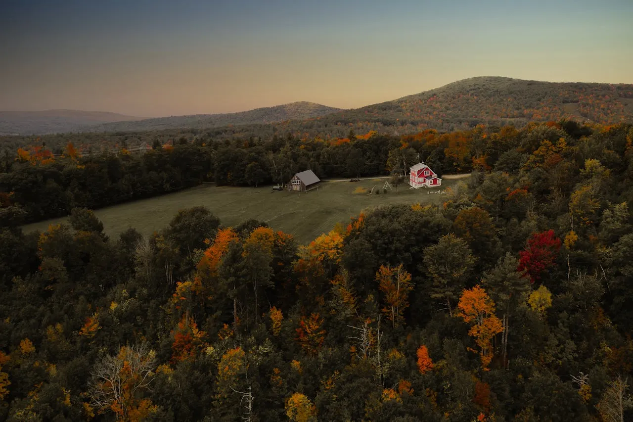 Washington state land for sale trees