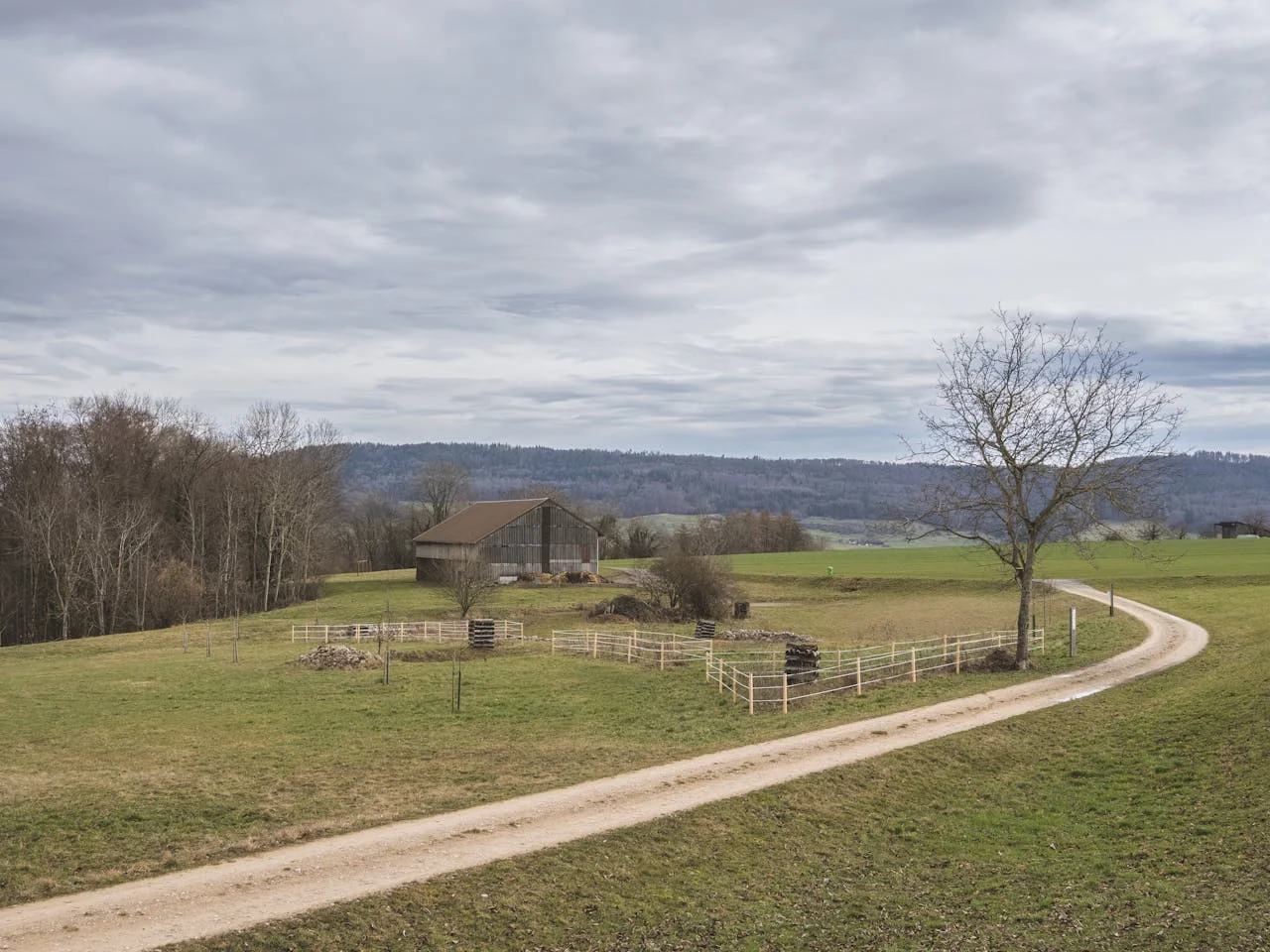 Curving gravel road through fenced pasture under a cloudy sky