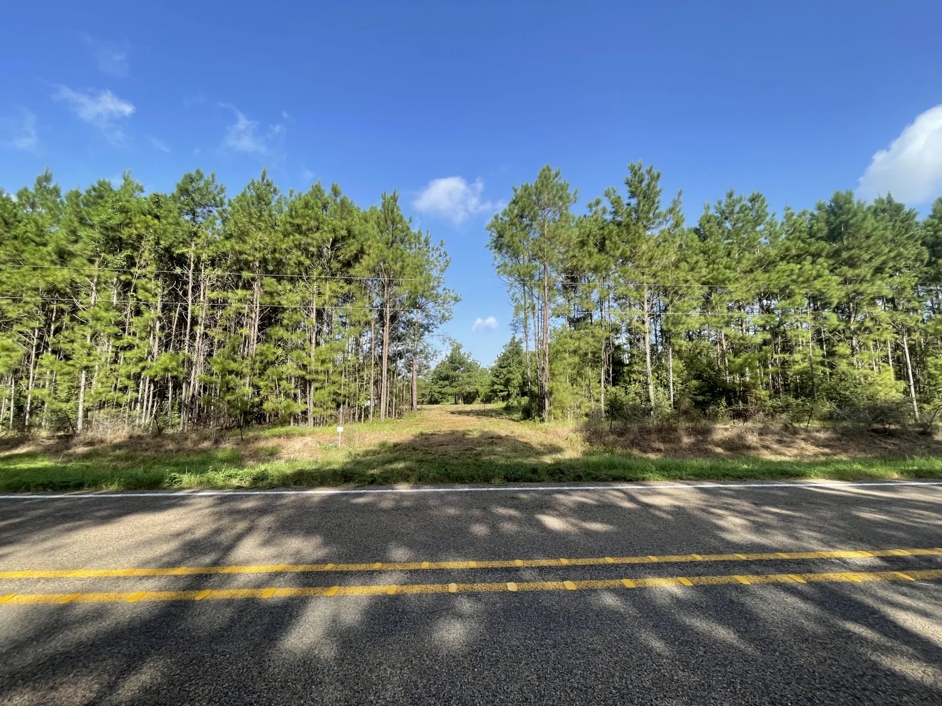 6.64 Acre Homesites Unrestricted with Pinewood Privacy FM Frontage, Water Meter, Soil Tested (Lot 04)